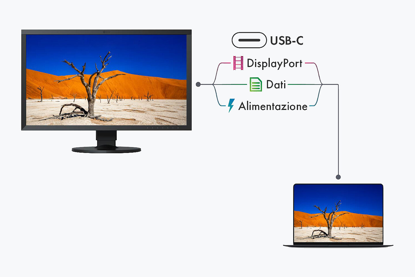 Sofware Eizo per la Calibrazione