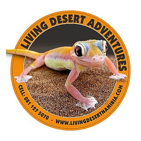 Namibia_Reise-Partner_Living_Desert_Tours.jpg