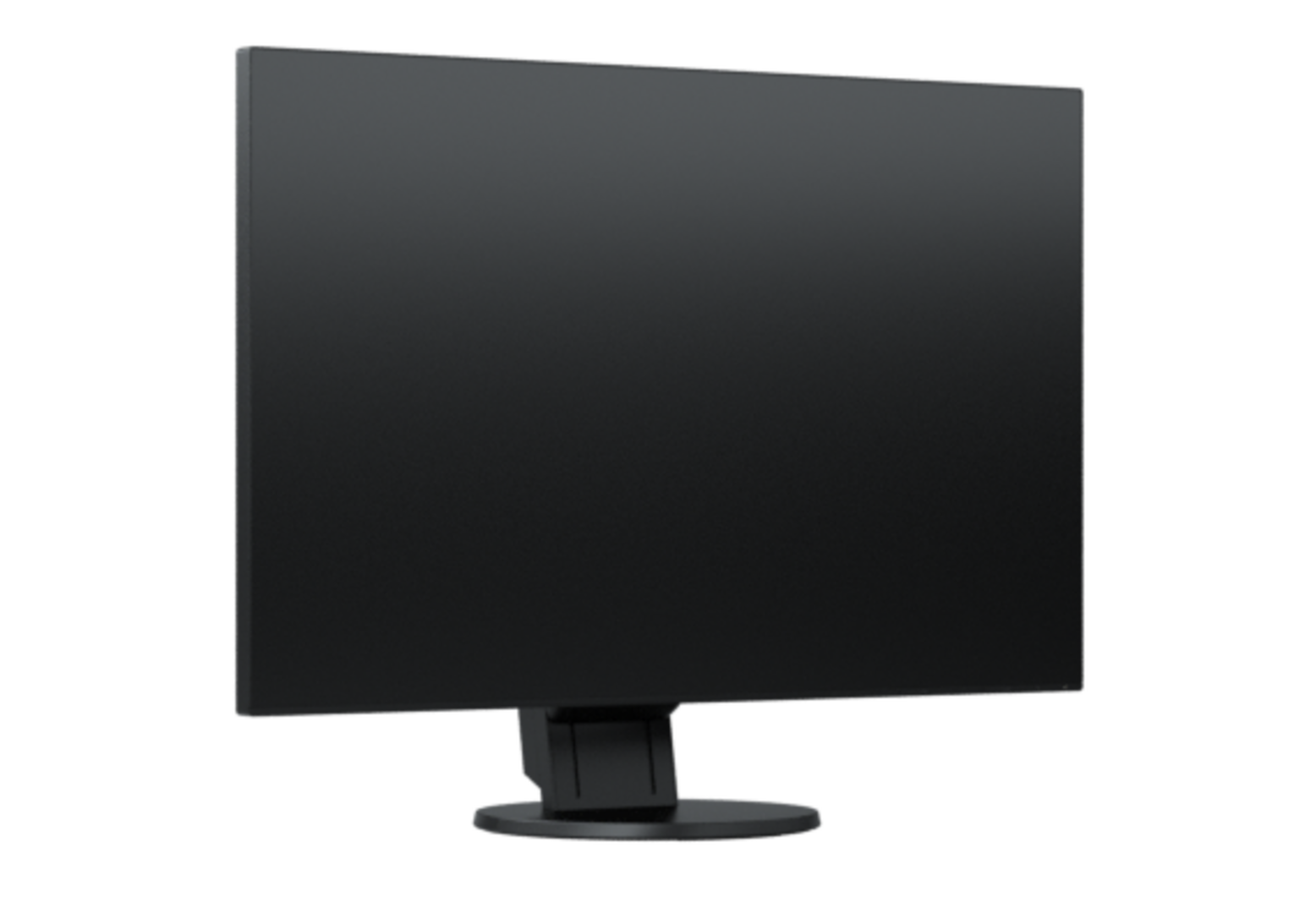 未開封保管）EIZO EV2456-R2456 BLACK-