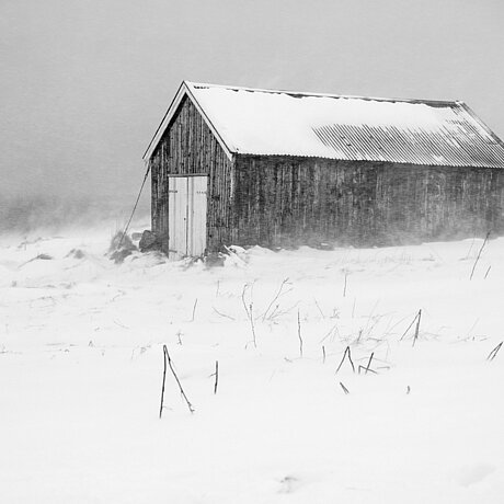Snowy Hut