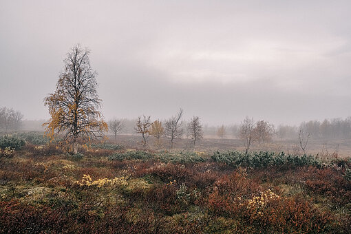 [Translate to Luxembourgish:] Landschaft im Herbst