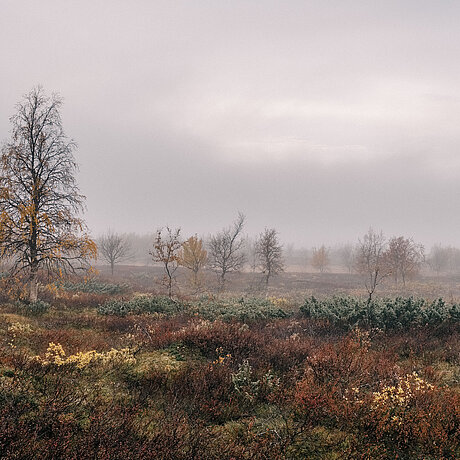 [Translate to Belgian French:] Paysage en automne