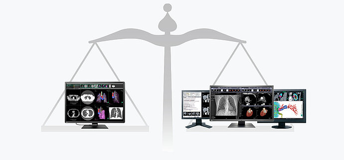 Vysoce výkonný monitor pro popis snímků vs. cenově příznivý monitor pro prohlížení snímků